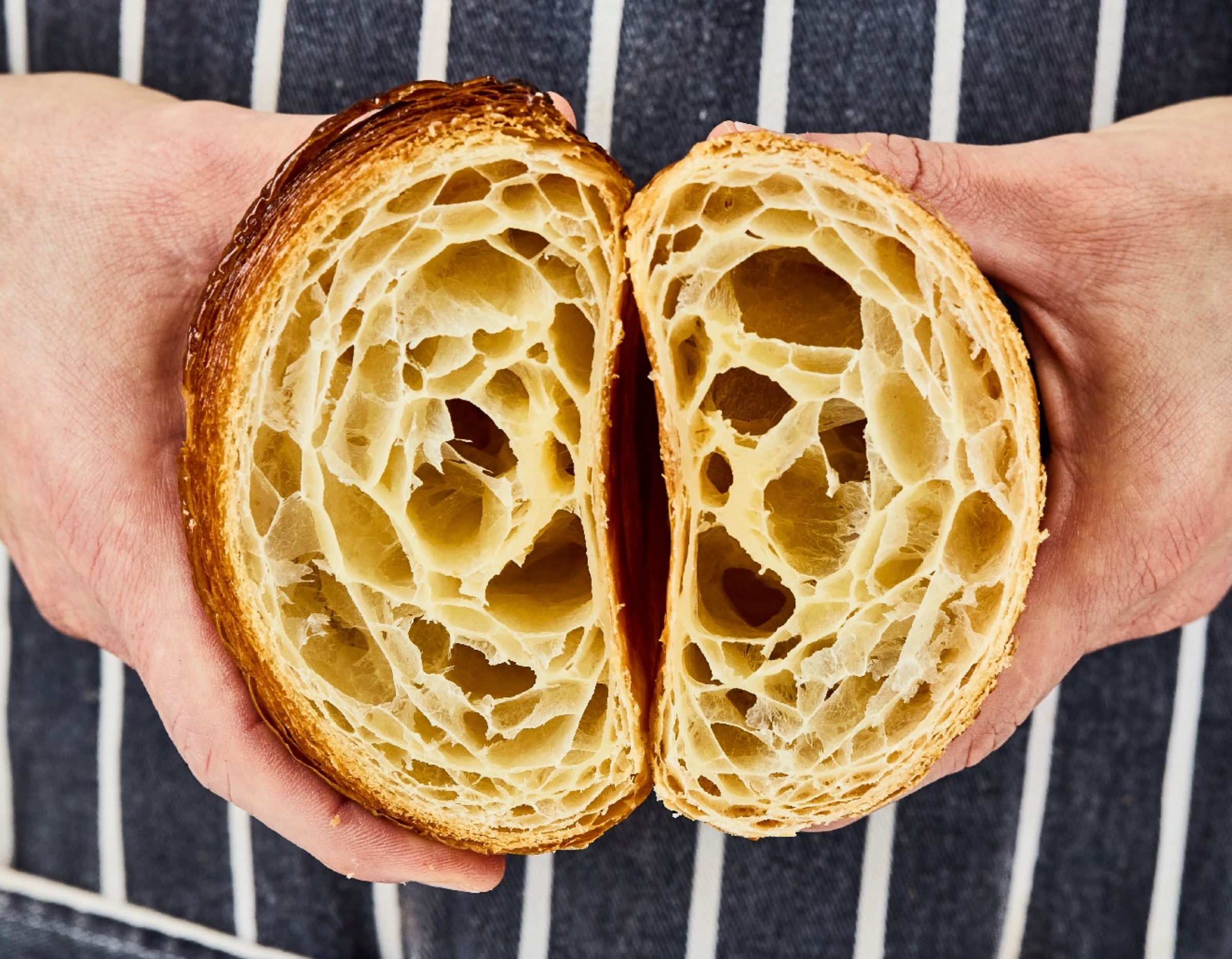 Chestnut Belgravia opens